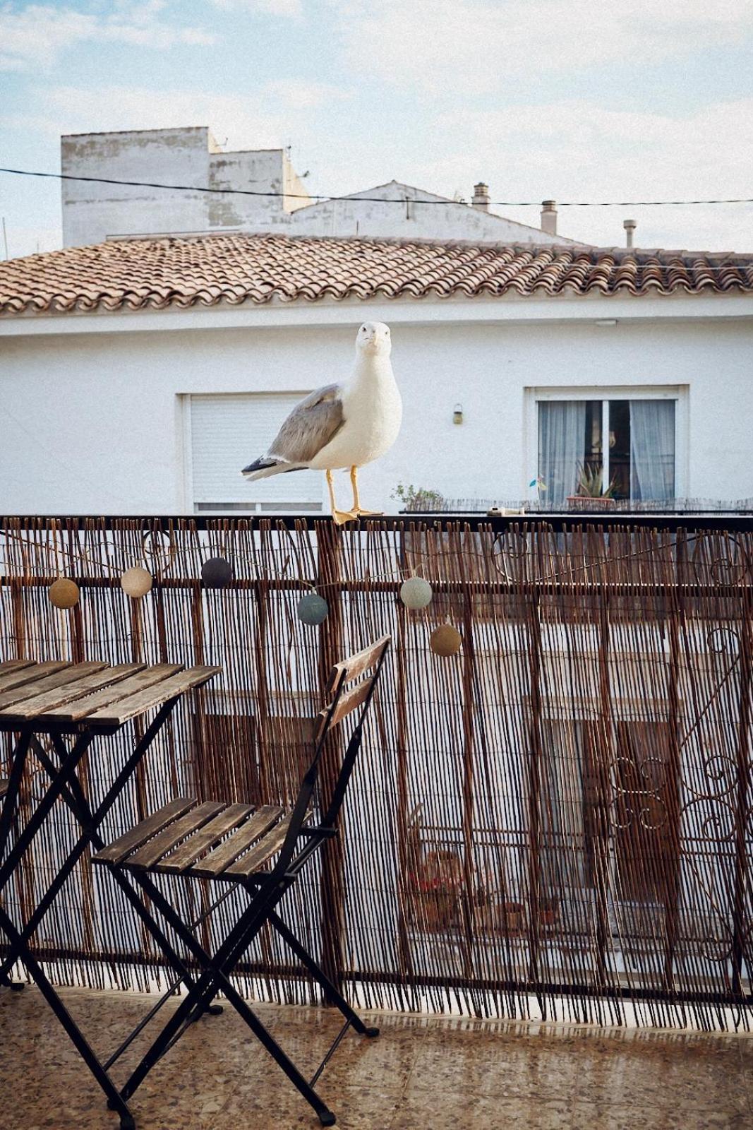Maison Dya *